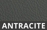 LEDERANTRACITE-1